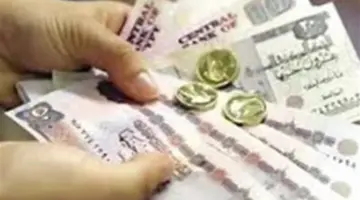 خارطة طريق زيادة المعاشات 2026.. الهيئة القومية للتأمين الاجتماعي توضح نسب الزيادة وموعد التطبيق